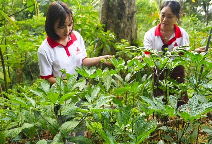 Điều kiện tự nhiên vùng phân bố Sâm Ngọc Linh