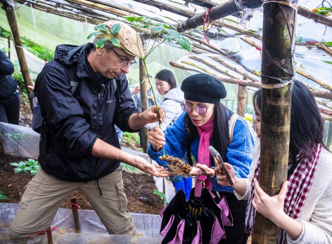 Tour Du Lịch Sinh Thái Nam Trà My Gắn Với Sâm Ngọc Linh